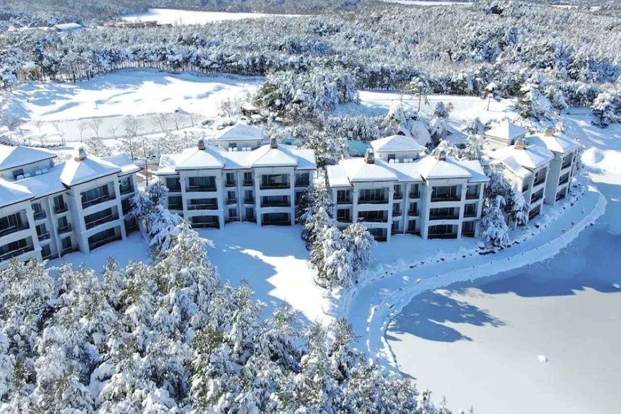 Pineridge Otel Sokcho Dış mekan fotoğraf