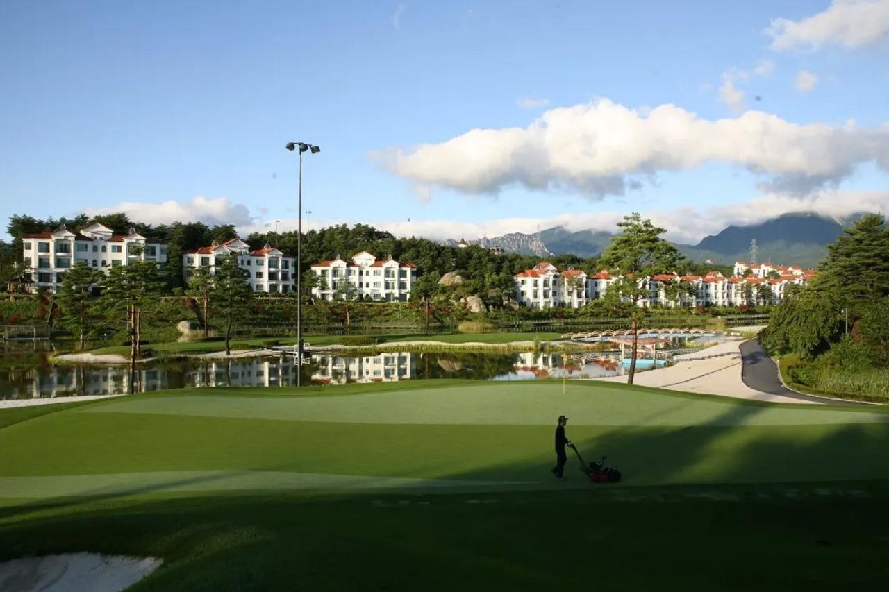 Pineridge Otel Sokcho Dış mekan fotoğraf