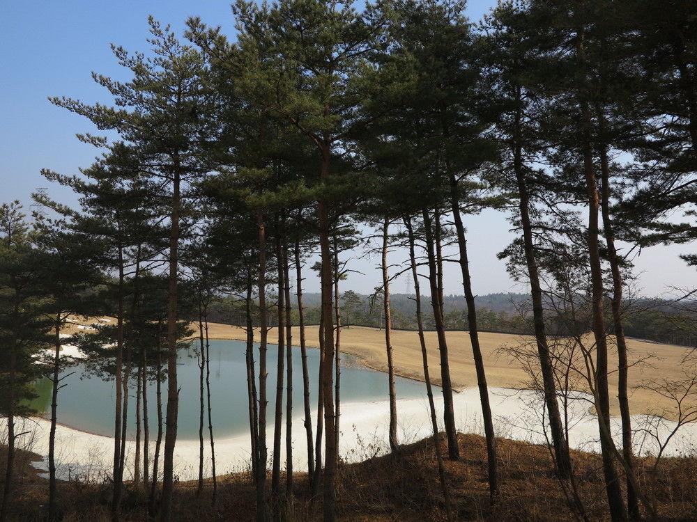 Pineridge Otel Sokcho Dış mekan fotoğraf