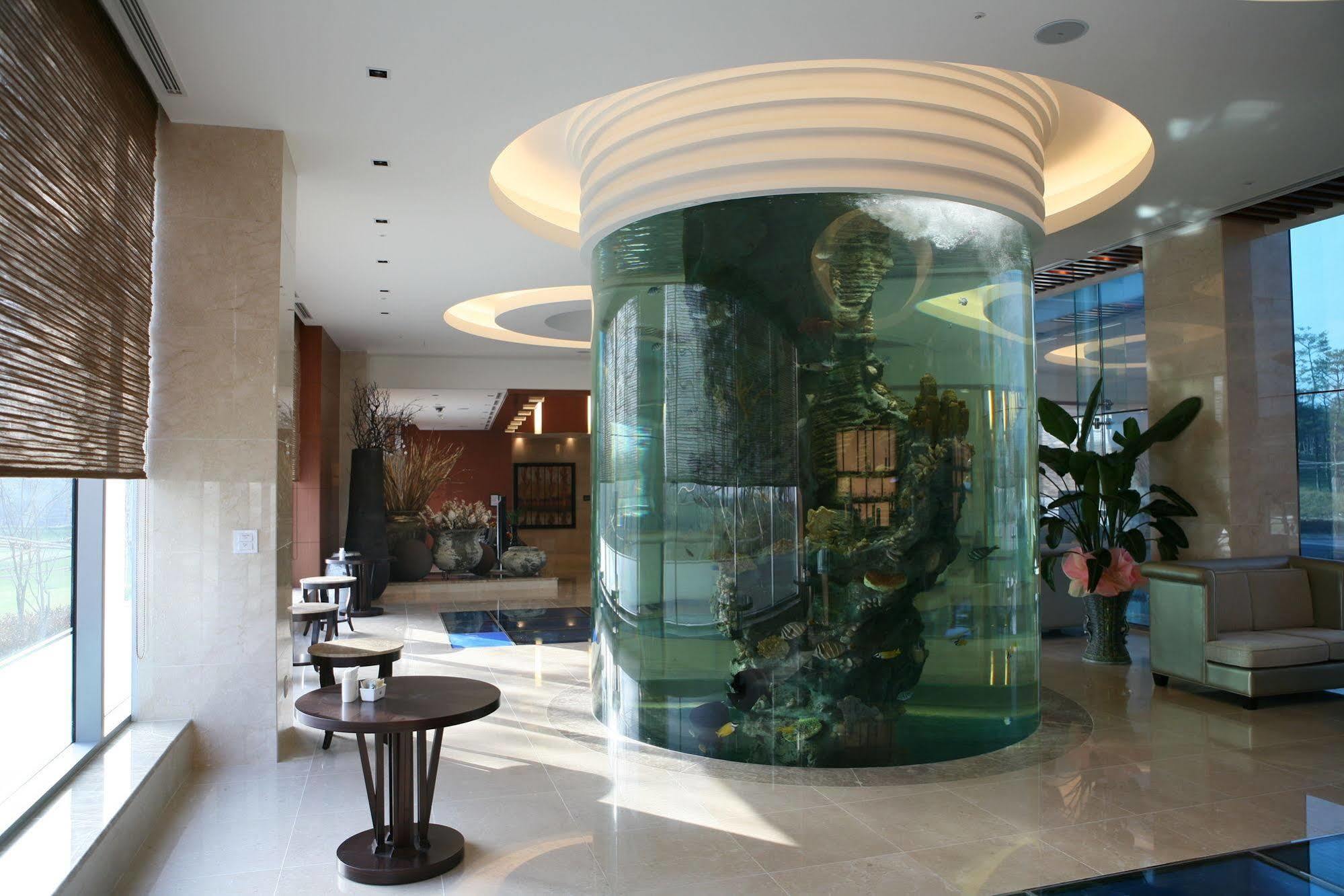 Pineridge Otel Sokcho Dış mekan fotoğraf