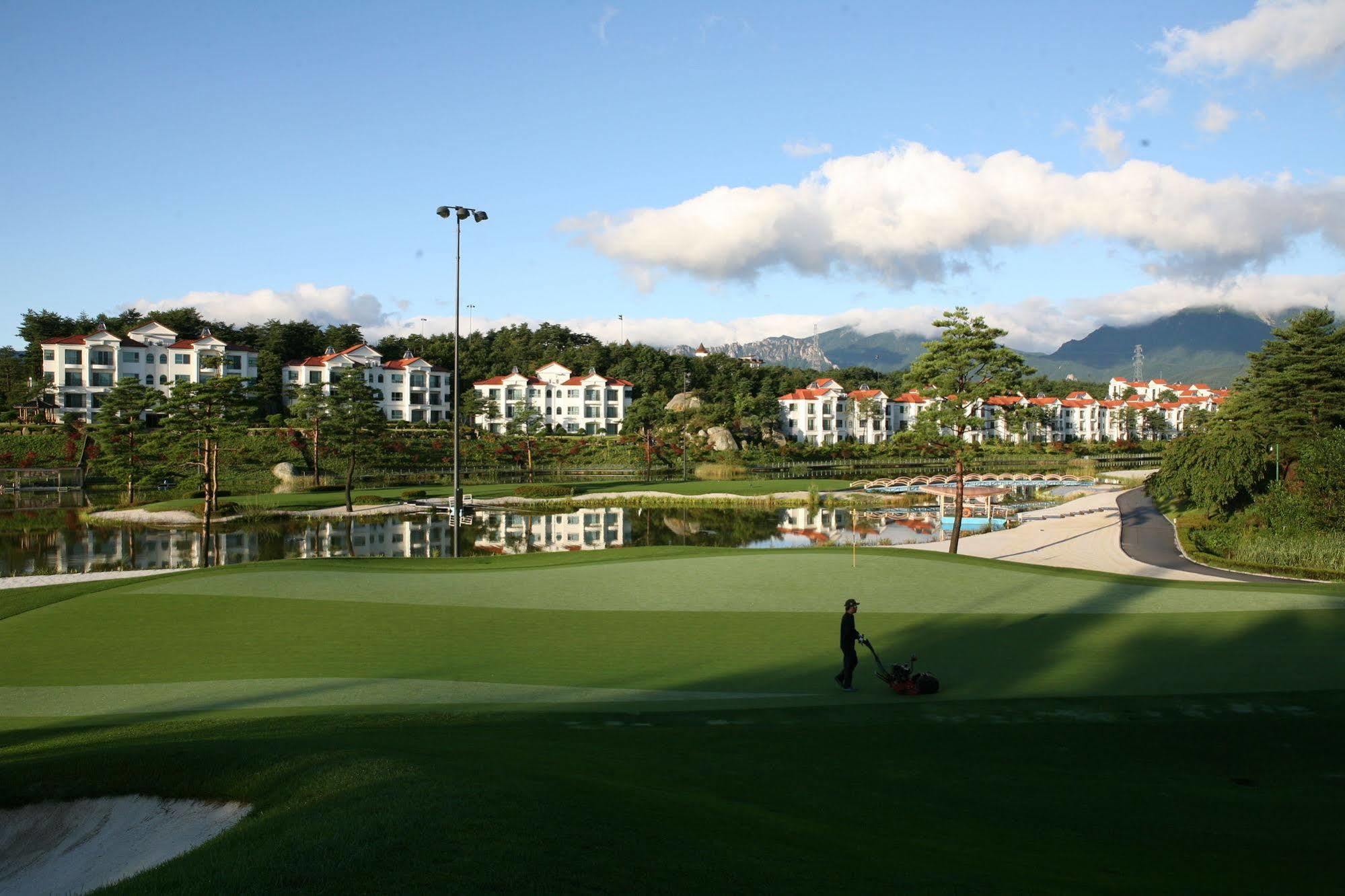 Pineridge Otel Sokcho Dış mekan fotoğraf